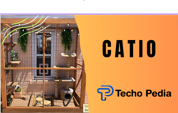 The ultimate guide to building Catio: A safe outdoor haven for your feline friend 2024