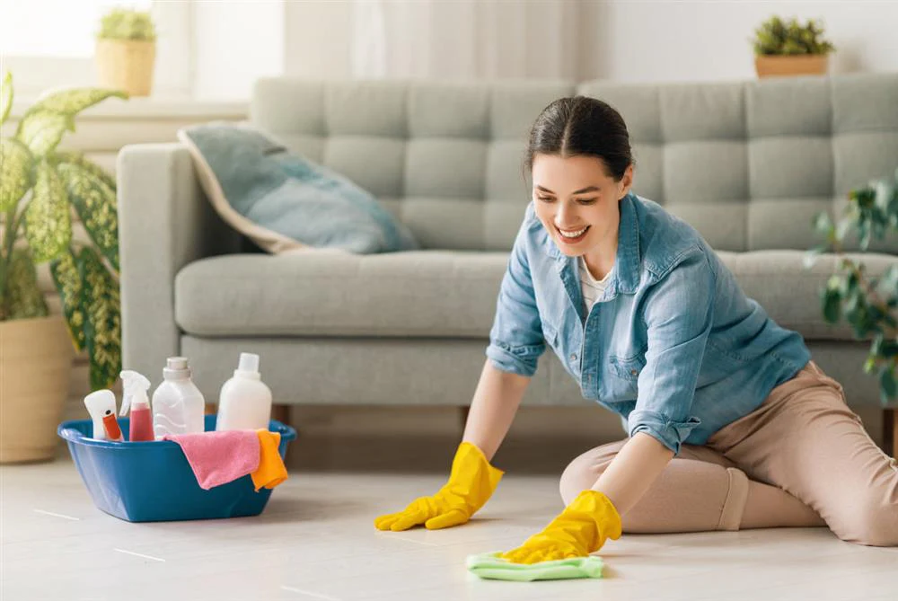 Cleaning for a Healthy Home