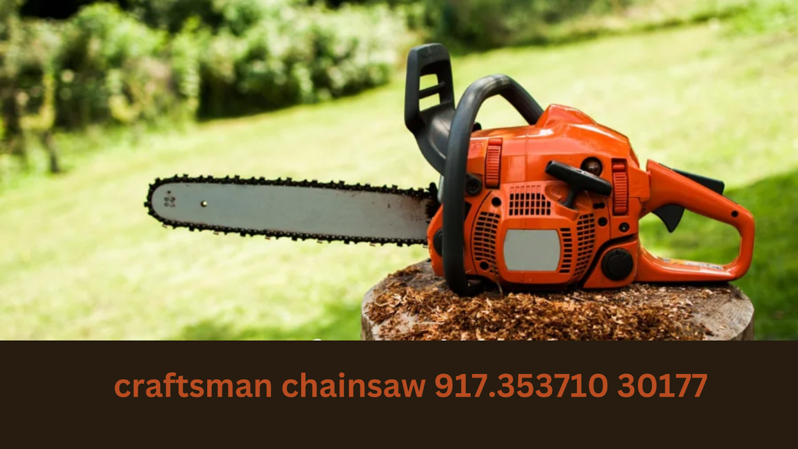 Craftsman Chainsaw 917.353710 30177